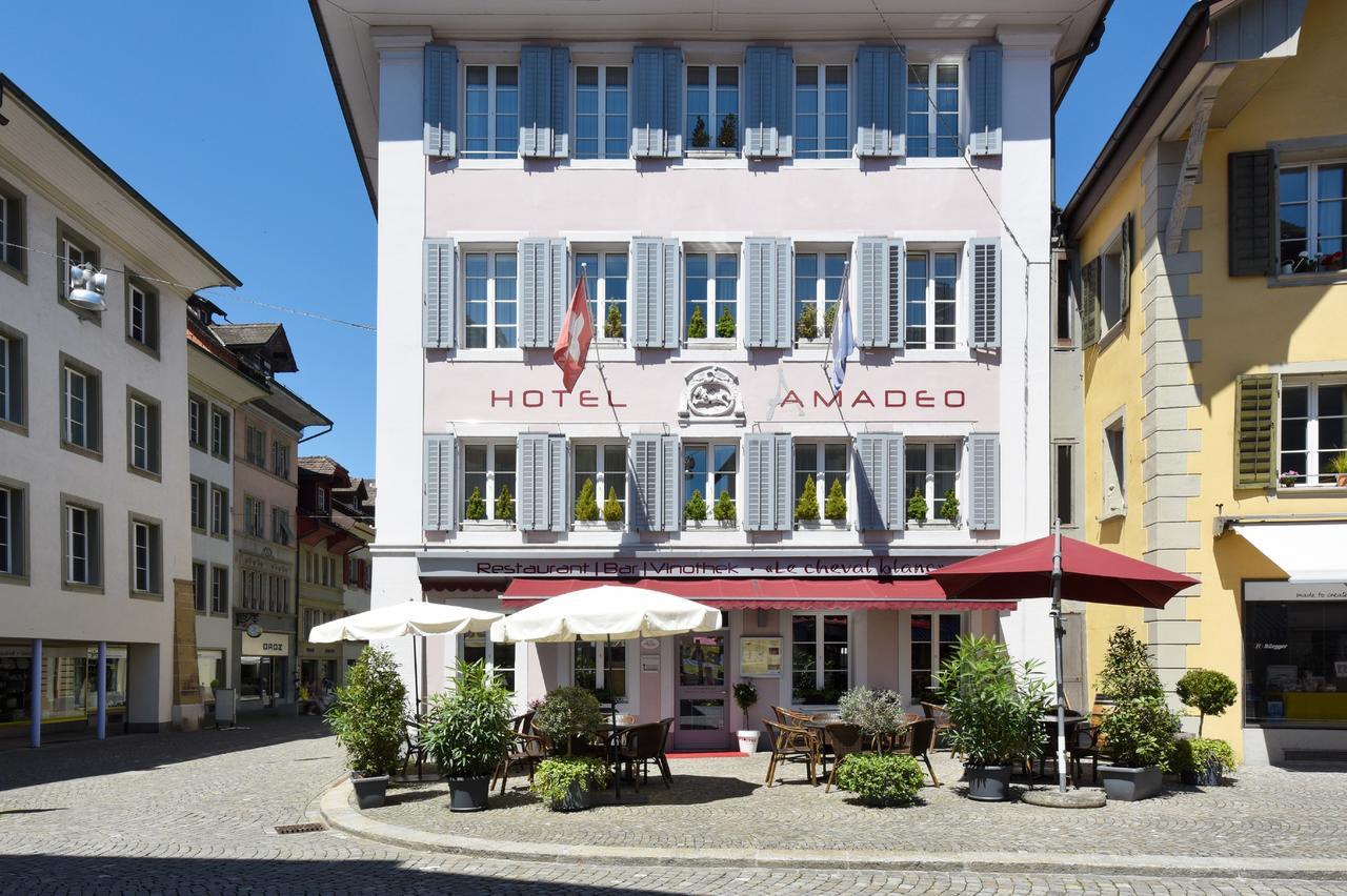 Apart Hotel Amadeo Zofingen Dış mekan fotoğraf